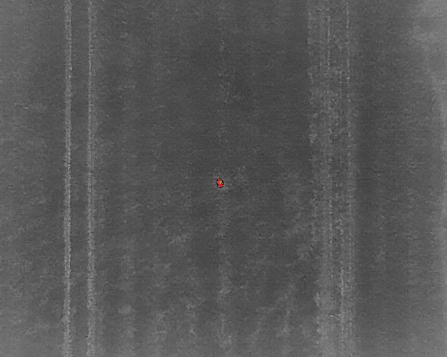 Rålam der ligger og trykker sig i græsmark identificeret fra 70m højde